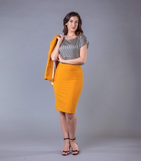 Класическа пола с дължина до коляно в жълт цвят